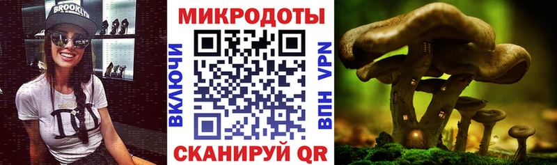 мориарти официальный сайт  Калуга  Псилоцибиновые грибы MAGIC MUSHROOMS 